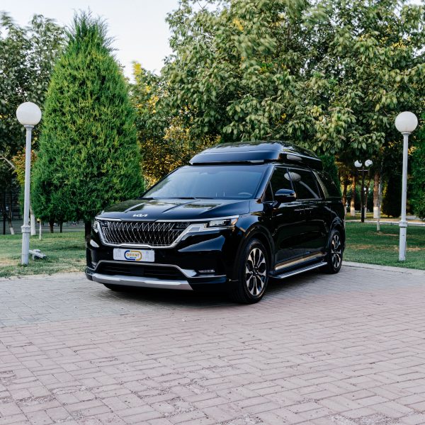 Kia Carnival High Limousine - Image 4